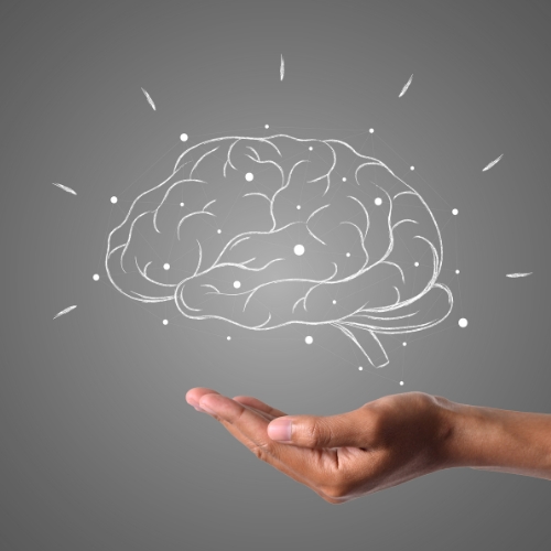 Integrity, personality, and cognitive assessments